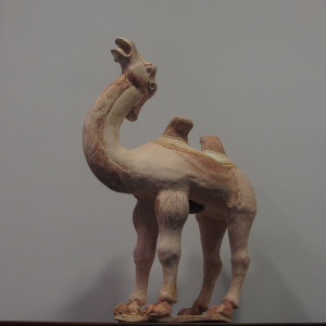 cammello – dinastia Tang – VIII-IX sec.