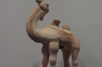 cammello – dinastia Tang – VIII-IX sec.